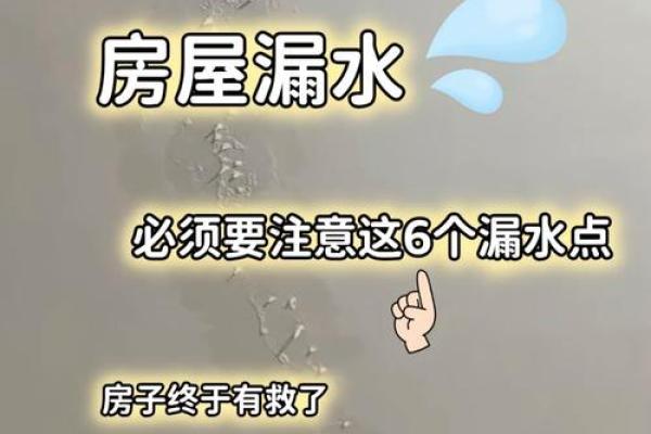 梦到房子里面好多水