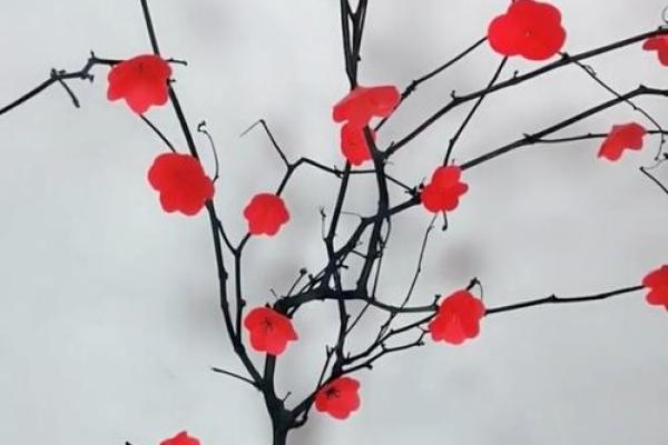 梦见捡树枝是什么意思预兆