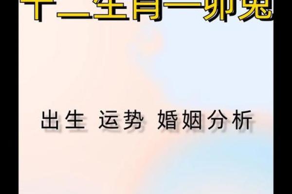 属兔2024年运势及运程