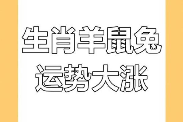 2022年是什么属相
