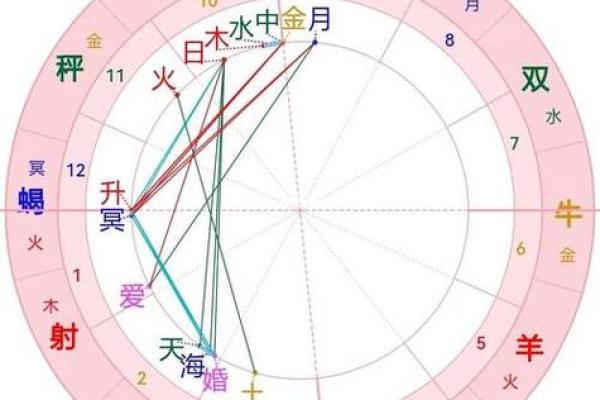 星盘分析星座屋(星盘分析解读免费)