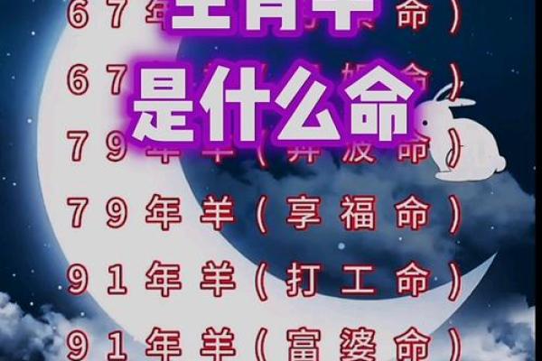 2003年属什么生肖