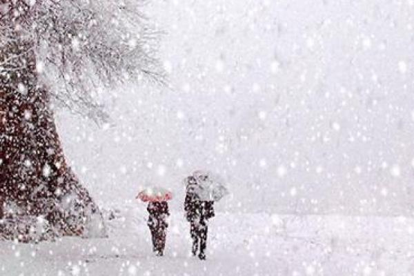 梦见下雪了是什么征兆 女性周公解梦