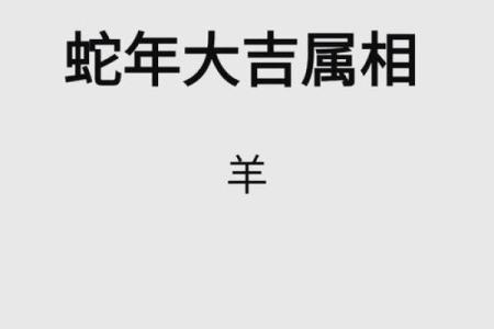 1991年属什么生肖