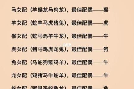 老虎和什么属相相冲