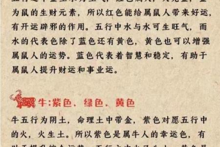 属鼠相冲的属相