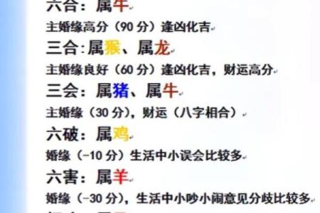 今日生肖相冲