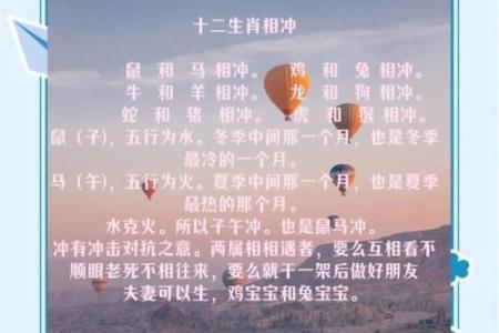 子午相冲打一最准生肖