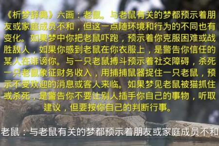 梦见老鼠跳到身上是什么征兆