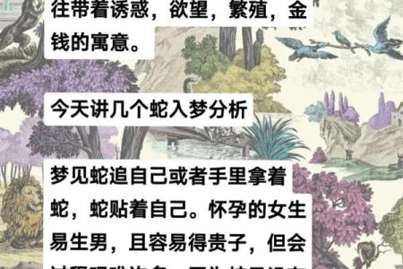 梦见蛇窝是什么预兆男人