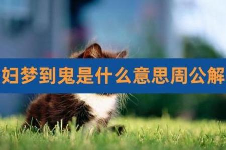 周公解梦梦见鬼是什么预兆