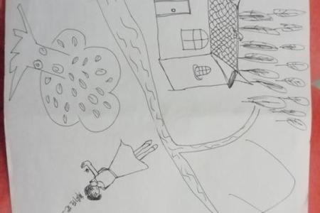 人树房子心理测试解析(人树房子心理测试解析 河流)