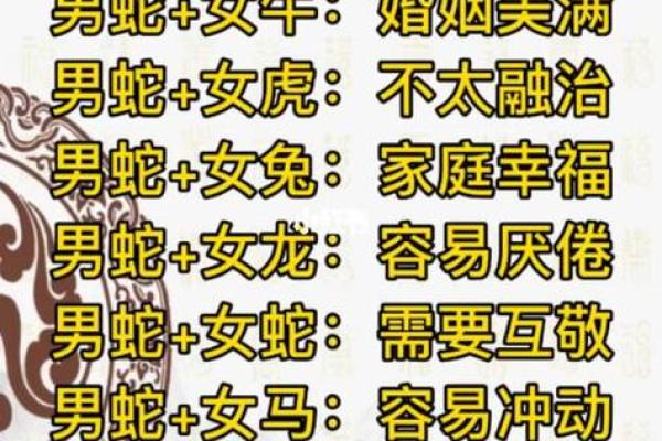 属蛇和什么属相相冲