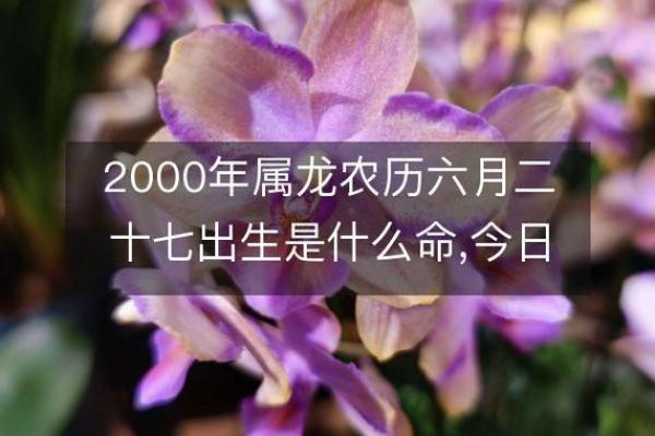 2000年属什么生肖