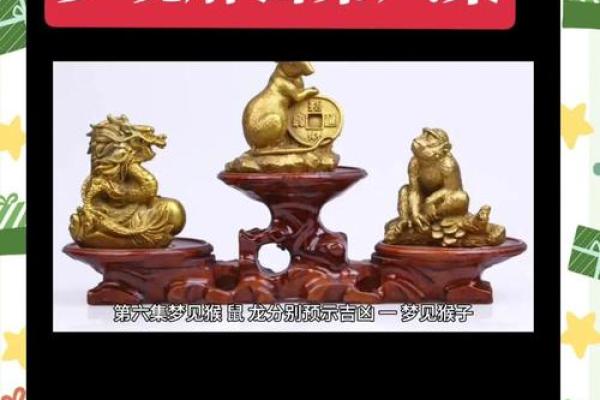 梦见追老鼠是什么预兆