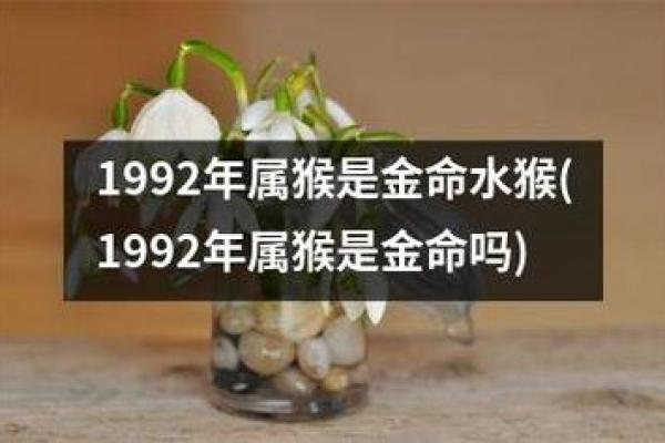 92年属于什么生肖啊