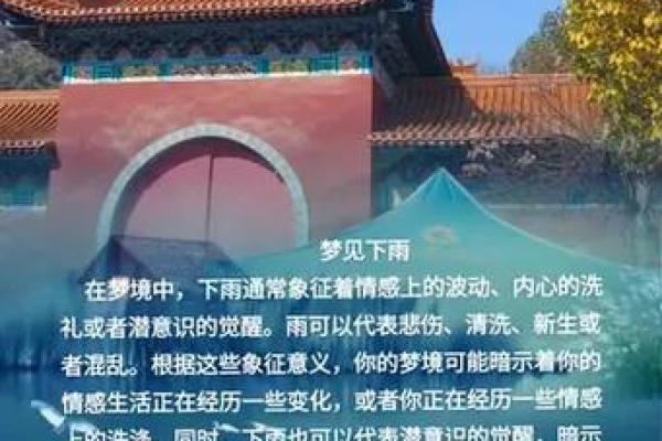 梦见外面下雨了