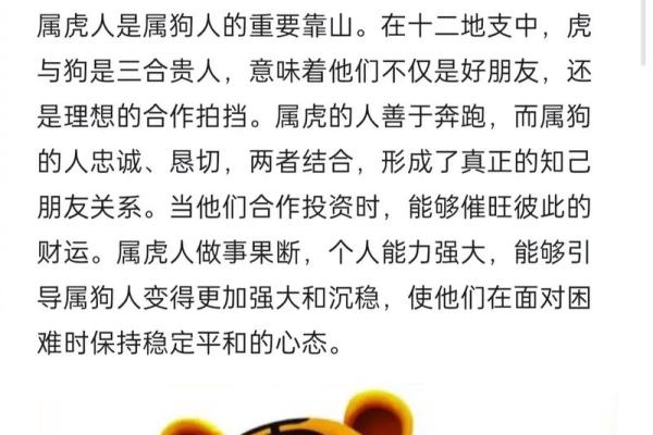属虎相冲的属相是什么