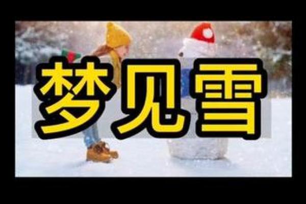 做梦梦到下雪了地上都是白的