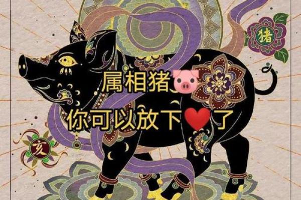 1983年属猪人2025年运势及运程(1983年属猪人2025年运势及运程)