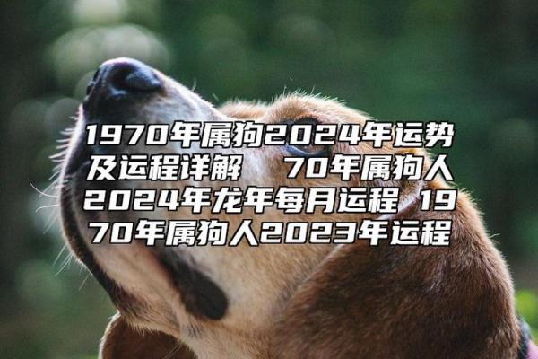 94年狗2025年的运势(94年狗2025年的运势男)