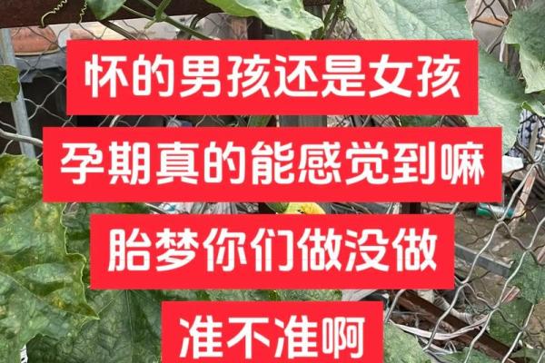 妻子怀孕期间丈夫梦到蛇