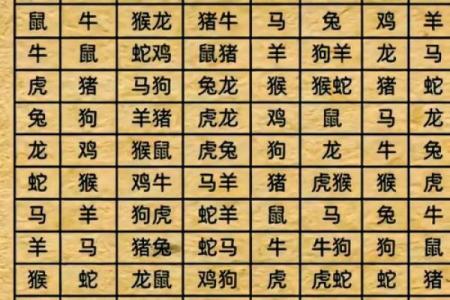 属鸡和什么属相相冲