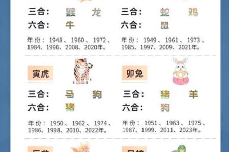 生肖兔和什么生肖相冲