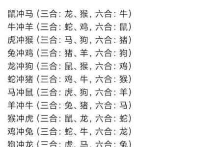 今日相冲生肖