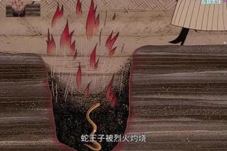 梦见火烧蛇