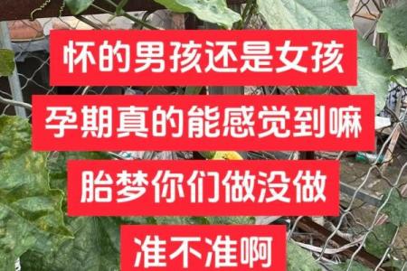 妻子怀孕期间丈夫梦到蛇