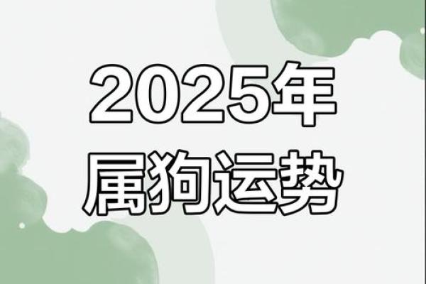 1970年属狗女2025年运势及运程(1970年属狗女2025年运势及运程)
