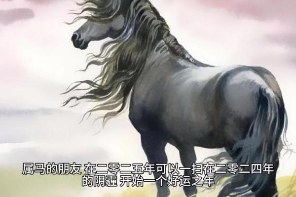 78年属马47岁2025劫难(78年属马47岁2025劫难2月)