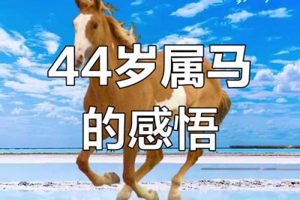 78年属马47岁2025劫难(78年属马47岁2025劫难2月)