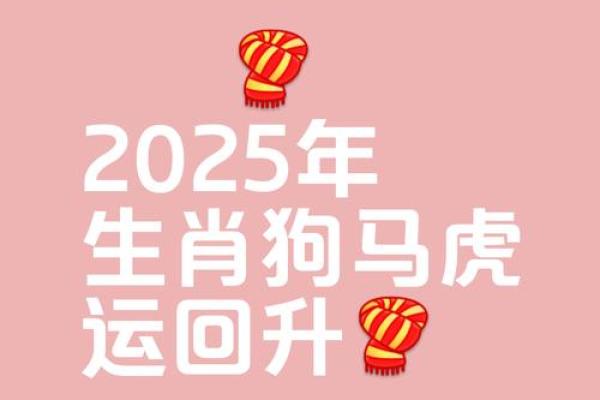 属狗2025年运势(2025年运势)