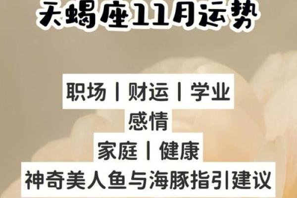 天蝎座运势今日运势查询(天蝎座运势今日运势查询lucky)