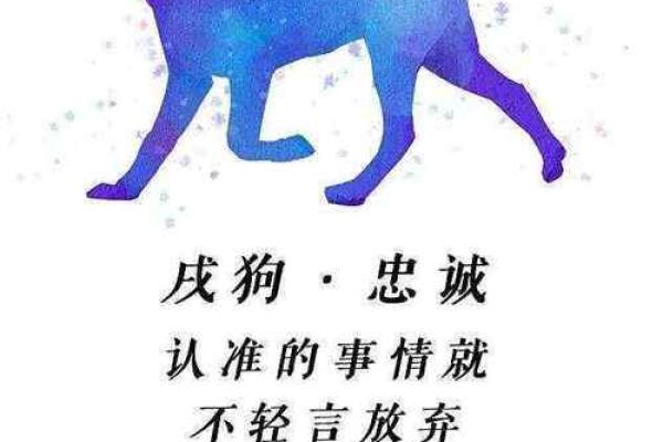 属狗人2025年运势(属狗人2025年运势及运程1982年出生)