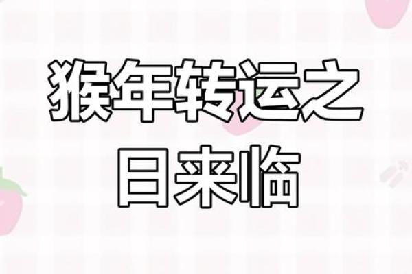 属猴2025彻底大爆发(属猴人今生有两段孽缘)