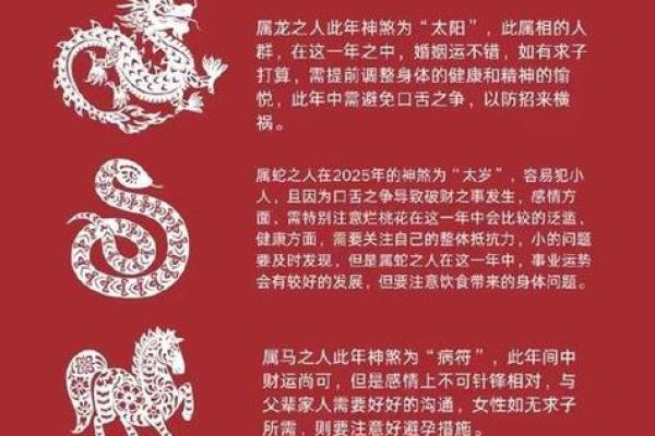 属鼠女2025年全年运势如何(属鼠女2025年全年运势如何)