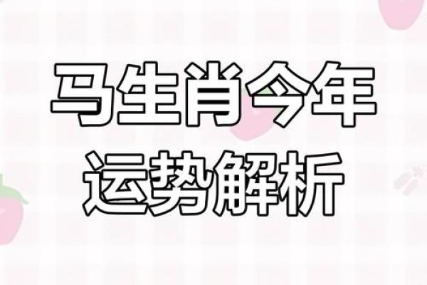 属马的2025年多大了(属马的今年多大岁数)