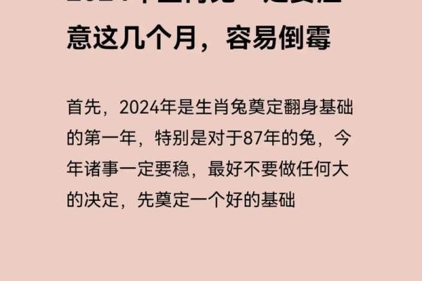 2025年属兔运势(2025年属兔运势及运程1987年生人)