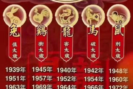 1996年属鼠人2025年全年运势运程(1996年属鼠人2025年全年运势运程女)