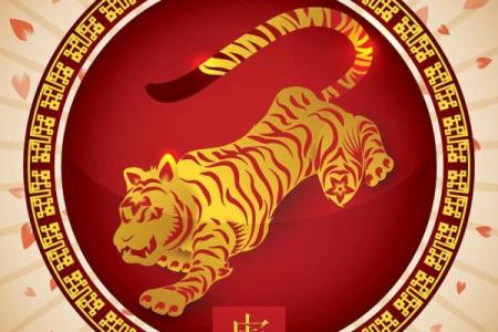 属虎人2025年全年运势(属虎人2025年全年运势运程)