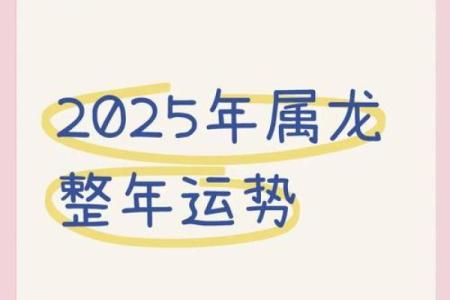 属龙2025年的运势及运程(属龙2025年的运势及运程)