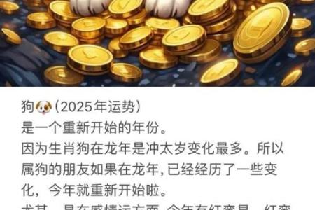 属狗女2025年三大喜事(1994年属狗女2025年运势及运程)