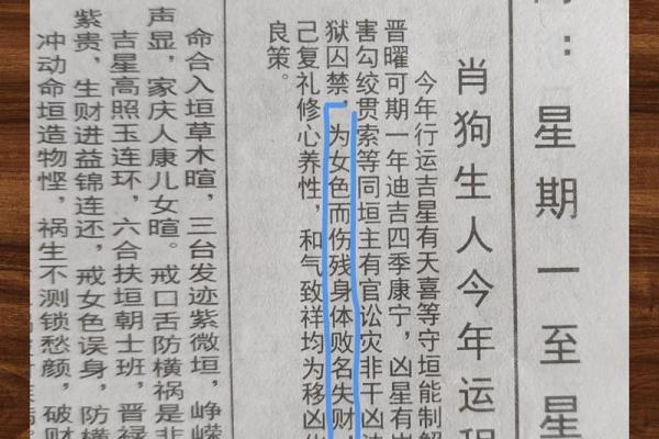 1982年属狗女2025年全年的运势(1982年属狗女2025年全年的运势详解最新)