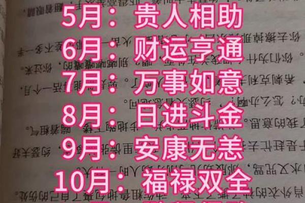 1982年狗2025年属狗的每月运势(1982年狗2023年运势及运程每月运程)