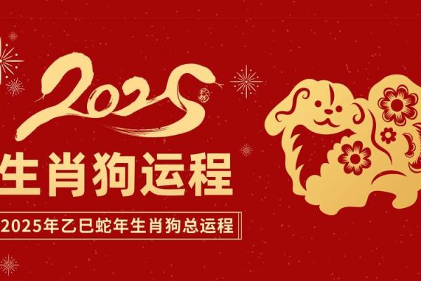属狗2025年多大岁数(58年属狗的终身寿命)