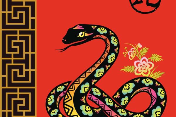 2025属蛇全年运势及每月运势(2025属蛇全年运势及每月运势20001)