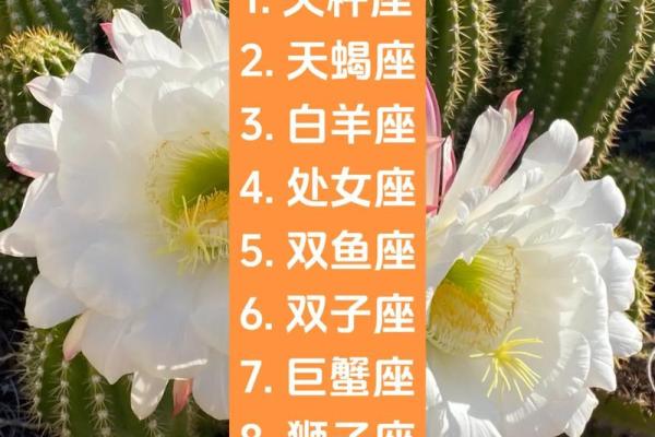天秤座女生今日运势(天秤座女生今日运势最佳)